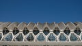 Museu de les CiÃÂ¨ncies PrÃÂ­ncipe Felipe of Calatrava in Valencia