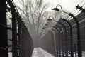 Museum Auschwitz - Holocaust Memorial Museum. Anniversary Concentration Camp Liberation Barbed wire around a concentration camp. Royalty Free Stock Photo