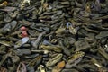 Museum Auschwitz - Holocaust Memorial Museum. Stacks of shoes belonging to prisoners of the camp.Museum Auschwitz - Holocaust Memo Royalty Free Stock Photo