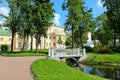 Polish garden today. St. Petersburg. Royalty Free Stock Photo