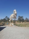 Museum of fossiles  Erfoud sahara Royalty Free Stock Photo