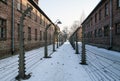 Museum of Holocaust Memorial Museum. Anniversary. Fence with barbed wire inside a concentration camp. Royalty Free Stock Photo