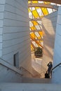 Museum Louis Vuitton Foundation, Paris Royalty Free Stock Photo