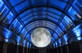 Museum of the Moon, Natural History museum. London