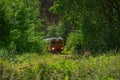 Museum railbus between Anten and GrÃÂ¤fsnÃÂ¤s passing through picturesque scenery..