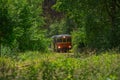 Museum railbus between Anten and GrÃÂ¤fsnÃÂ¤s passing through picturesque scenery..