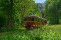Museum railbus between Anten and GrÃÂ¤fsnÃÂ¤s passing through picturesque scenery..