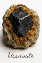 Museum style uraninite specimen isolated on white with identification label Royalty Free Stock Photo