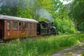 Museum train between Anten and GrÃÂ¤fsnÃÂ¤s passing through picturesque scenery..