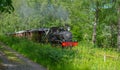 Museum train between Anten and GrÃÂ¤fsnÃÂ¤s passing through picturesque scenery..