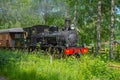 Museum train between Anten and GrÃÂ¤fsnÃÂ¤s passing through picturesque scenery..