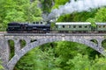 Museum train on the bridge over the Vintgar gorge