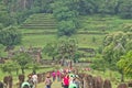 Museum wat phou