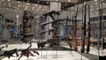 : Museum of weapons., the museum opened a new permanent exhibition