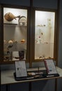 Museum of Zoology in Rome, Italy