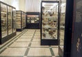 Museum of Zoology in Rome, Italy