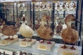 Museum of Zoology in Rome, Italy