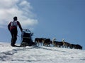 Musher in aktion Royalty Free Stock Photo