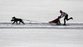 Dog sledding winter race, Zuberec, Slovakia, Mushing