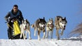 Dog sledding winter race, Zuberec, Slovakia, Mushing