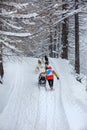 Musher helps his sled dog team to climb the mountain Royalty Free Stock Photo