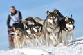 Musher hiding behind sleigh at sled dog Royalty Free Stock Photo