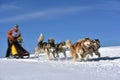 Musher hiding behind sleigh at sled dog Royalty Free Stock Photo