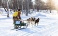 The musher hiding behind sleigh at sled dog race on snow in winter Royalty Free Stock Photo