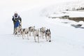 Musher and team of sled dog Royalty Free Stock Photo