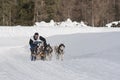 Musher and team of sled dog Royalty Free Stock Photo