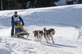 Musher and team of sled dog Royalty Free Stock Photo