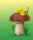 A Mushroom.