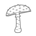 Mushroom - Amanita. Vector black white outline illustration. Design elements or page of children\'s coloring book