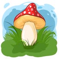 Mushroom on the background of meadows and sky. Cartoon flat style. Scenery. Isolated on white. A beautiful forest