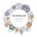 Mushroom background. Vintage botanical food with engraved shiitake, sketch agaric, forest oyster and porcini. Circle