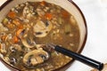 Mushroom Barley Soup with Spoon Royalty Free Stock Photo