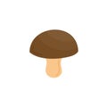 Mushroom bolete vector illustration icon