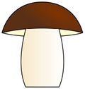 Mushroom (boletus) ilustration