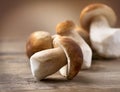 Mushroom Boletus Royalty Free Stock Photo