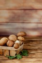 Mushroom Boletus over Wooden Background. Autumn Cep Mushrooms. Ceps Boletus edulis over Wooden Background, close up on wood rustic Royalty Free Stock Photo