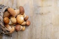 Mushroom Boletus over Wooden Background. Autumn Cep Mushrooms. Ceps Boletus edulis over Wooden Background, close up on wood rustic Royalty Free Stock Photo