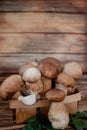 Mushroom Boletus over Wooden Background. Autumn Cep Mushrooms. Ceps Boletus edulis over Wooden Background, close up on wood rustic Royalty Free Stock Photo