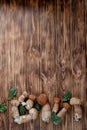 Mushroom Boletus over Wooden Background. Autumn Cep Mushrooms. Ceps Boletus edulis over Wooden Background, close up on wood rustic Royalty Free Stock Photo