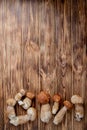 Mushroom Boletus over Wooden Background. Autumn Cep Mushrooms. Ceps Boletus edulis over Wooden Background, close up on wood rustic Royalty Free Stock Photo