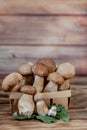Mushroom Boletus over Wooden Background. Autumn Cep Mushrooms. Ceps Boletus edulis over Wooden Background, close up on wood rustic Royalty Free Stock Photo