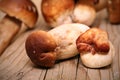 Mushroom Boletus over Wooden Background. Autumn