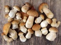 Mushroom Boletus over Wooden Background Royalty Free Stock Photo