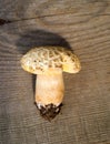 Mushroom Boletus over Wooden Background Royalty Free Stock Photo