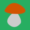 Mushroom boletus vector illustration