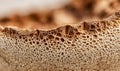 A mushroom with a brown and white texture Royalty Free Stock Photo